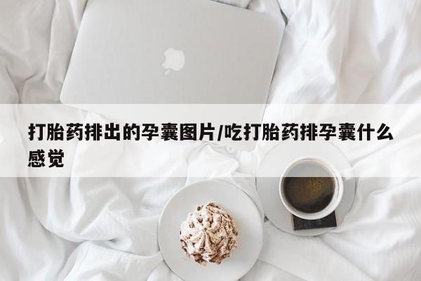 私人打胎药微信，打胎药排出的孕囊图片/吃打胎药排孕囊什么感觉