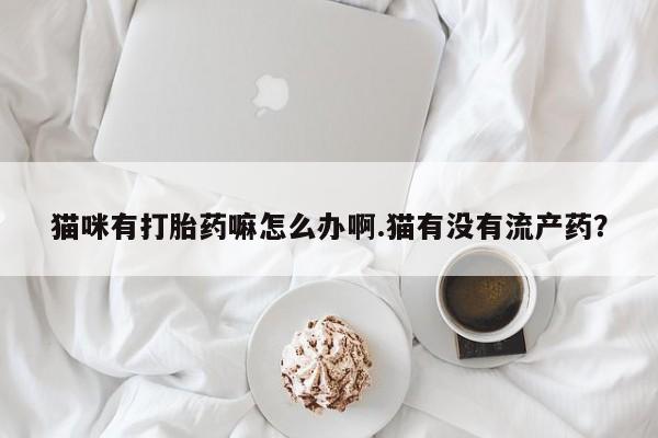 私人打胎药微信，猫咪有打胎药嘛怎么办啊.猫有没有流产药？