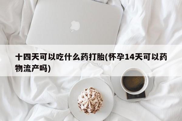 私人打胎药微信，十四天可以吃什么药打胎(怀孕14天可以药物流产吗)
